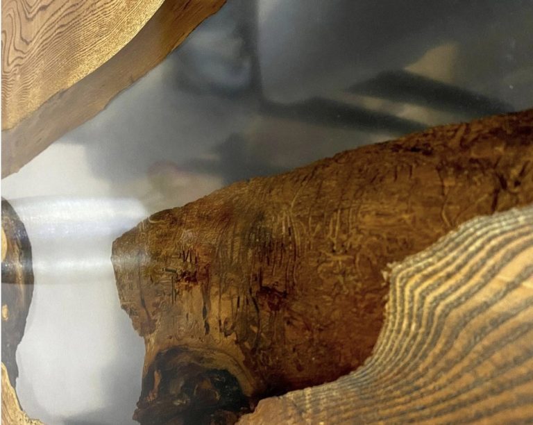 Screenshot_20220210-205944_Instagram